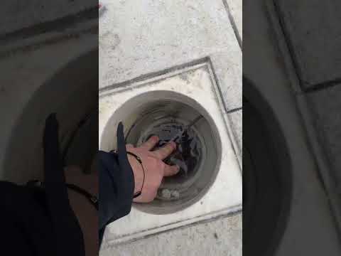 Bonne année ma piscine est congelé !!! J’espère que mon skieur n’est pas cassé