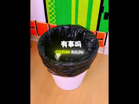 Bu Siyah Kedi Evde Resmen Kayboldu 😱🐾