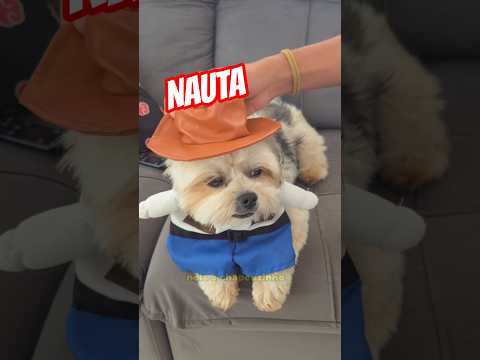Como fazer um vídeo do nauta 🤠 #nautaverso #shorts