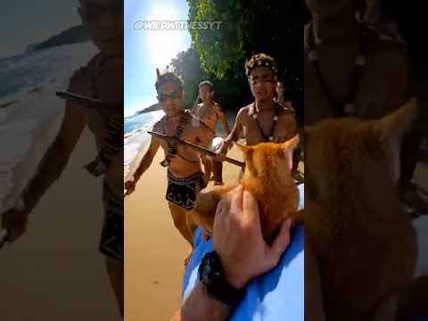 Karen Threw Her Cat Out Of A What?!?