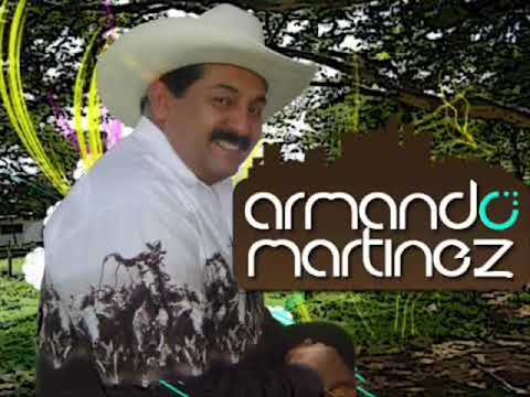 No Lloro Porque Te Fuiste de Armando Martinez Letra y Video