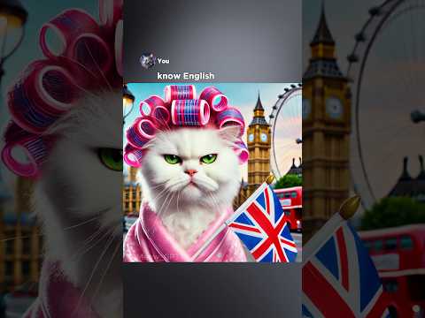 Kitten can speak any language on planet earth #ai #memes #chatpgt