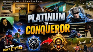 The Road to Conqueror Gets Harder! 😱 #BGMI #PlatinumToConqueror #BGMIIndia #BGMIGameplay 