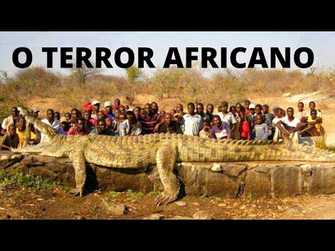 GUSTAVE – O CROCODILO AFRICANO GIGANTE PREDADOR DE PESSOAS! UMA HISTÓRIA REAL!