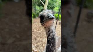 That's a tasty looking phone you've got there 😋♥️