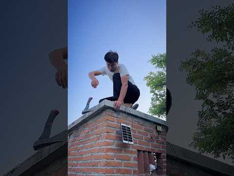 Dog saves 98 | Viral Gadgets, Smart Appliances, Kitchen Utensils/ Home Inventions #shorts #dog