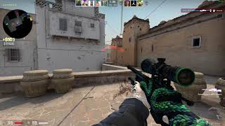 CAT HALLOWEEN SPECIAL OMG CSGO HOW!? S1mple!??? PGL?? [EMOTIONAL] #shorts