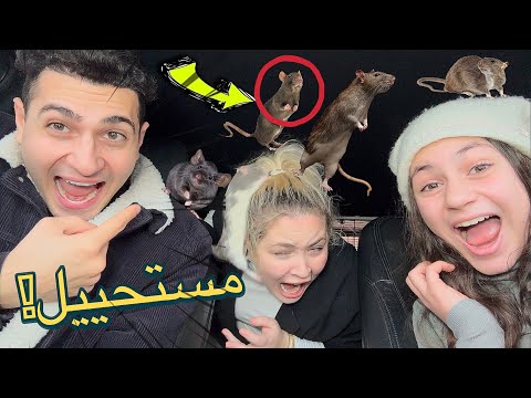 حطيت فيران بالسيارة🐀وقفلتها🔐أقوى"مقلب" بكرستيانا وإختي!!🐭