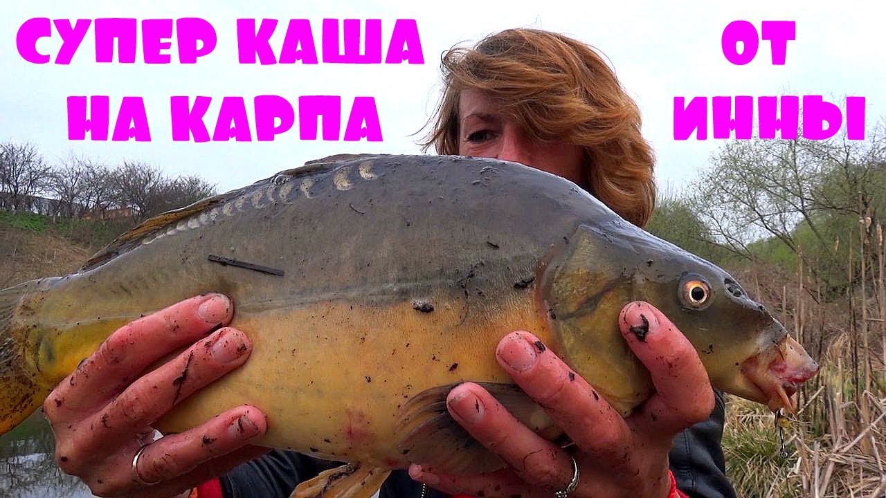 ЛУЧШАЯ САМОДЕЛЬНАЯ ПРИКОРМКА КАША НА КАРПА ОТ РЫБАЧКИ ИННЫ