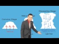 Thunderstorm Formation and Characteristics