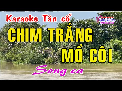 Karaoke tân cổ CHIM TRẮNG MỒ CÔI – SONG CA