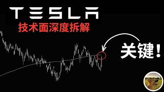 TSLA 暴涨 8%！空头挤压一触即发？做空比例3%，机构预期上调