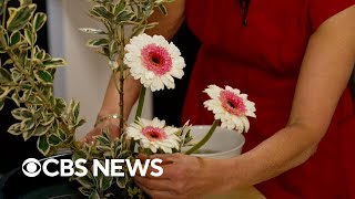 YouTube video thumbnail: Americans Taking up the art of Ikebana, Japanese Flower Arrangement