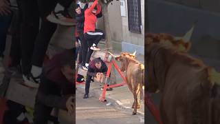 😱 Lo VE EL TORO y no pudo ESCONDERSE!