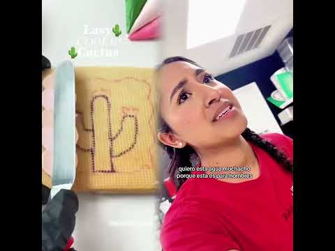 📍215 Hodges St Cornelia Ga 30531 #humor #raspaseltigre #youtubeshorts #antojitos