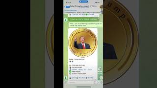 Pulse Trump Coin. Take your power back NOW $plst $hex $plsb $plsd $cult $m87