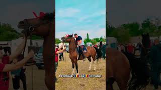 @PromovariCaiRomania #music #newmusic #afrohouse #love #cal #horse #bestjumpshot