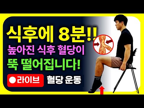 밥먹고 딱 8분만 해보세요!🔥 식후 혈당이 뚝 떨어집니다! 종아리 가자미근 운동