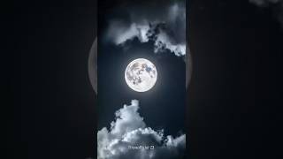 Me and my obsession with moon🌙💜#youtubeshorts#shots#selenophile#shortsfeed#love#shorts#trending#moon