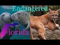 Endangered Species and Ecosystem Importance