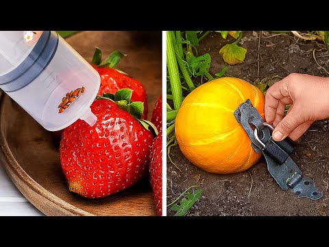 Trik Berkebun Keren yang Benar-Benar Berhasil