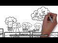 Urban Food Forests and Community Resilience