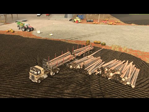 Building a Mega Farm Out of a Forest #43 PineWood Forest | Hard Mode Farming Simulator 25 Time Lapse