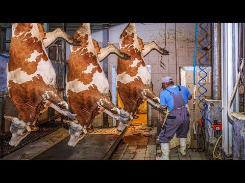 Million Dollars Cow Slaughter & Beef Processing Factory - Leather Tanning Technology & Process