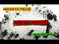 Magnetic Fields and Current Interaction