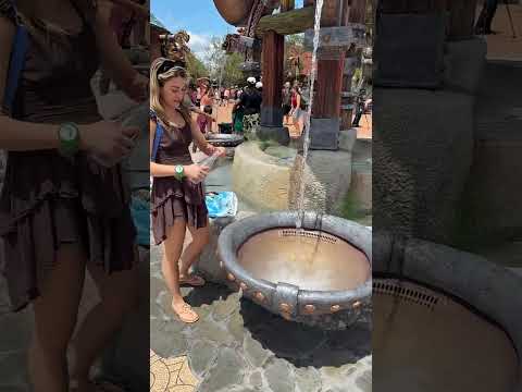 How to Train Your Dragon Drinking Fountain!