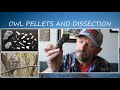 Owl Pellet Dissection Concepts