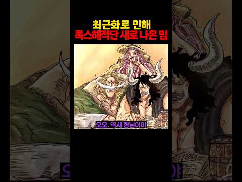 최근화로 인해 록스해적단 새로 나온 밈