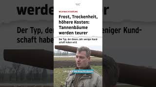 Tannenbäume werden teurer | heute-show #shorts