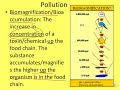 Environmental Impact and Sustainability Concepts