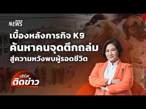 เบื้องหลังภารกิจ K9 ค้นหาคนจุดตึกถล่ม สู่ความหวังพบผู้รอดชีวิต | เสิร์ฟติดข่าว | 3 เม.ย.68