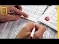 Understanding Numerical Intuition and Estimation