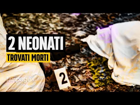 Neonati trovati morti a Parma: una 22enne indagata per omicidio e occultamento di cadaveri