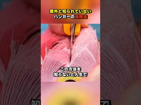 意外と知られていないハンガーの活用法