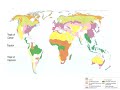 Africa's Climate and Weather Patterns