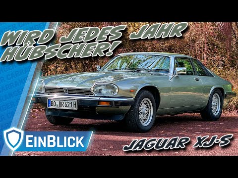 Mehr STIL & STYLE pro €! Jaguar XJ-S 3.6 (1989) - Zeitloser Klassiker für jedes Budget?