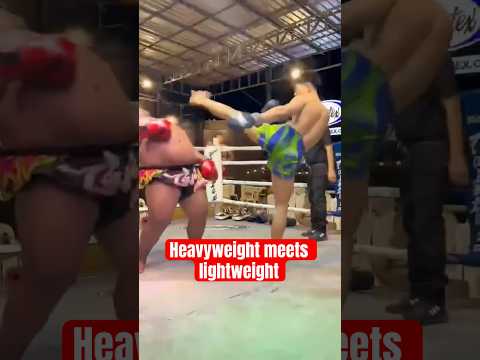 Just 3 or 4 kicks still normal #boxing #martialarts #kickboxing #foryou #foryoupageシ