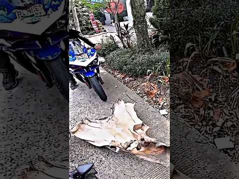 Momen lucu Ketika Motovlog Ini Gabut Di Jalan #motovlog #viral