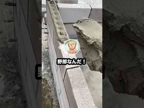 多様性に目覚めた麦わらの一味 #2ch #おもしろ #shorts