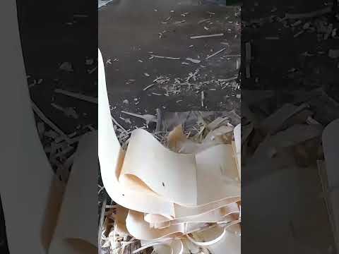 Match Sticks are made