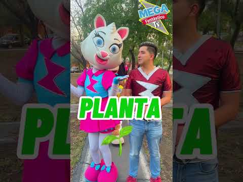 Quien habla mejor inglés ? #shortsparaniños #comedy #ingles
