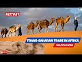 Trans-Saharan Trade and Challenges