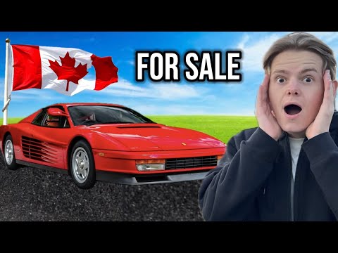 Biggest Private Car Collection In Canada