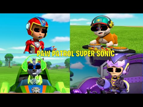 PAW Patrol Super Sonic Sound - Monsters How Should I Feel - Mighty Pups Animation