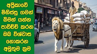අම්මෝ! අප්‍රිකාවේ මිනිස්සු ගමන් යන්න පාවිච්චි කරන ඔබ විශ්වාස නොකරන අමුතු​ම ක්‍රම 5ක් මෙන්න!