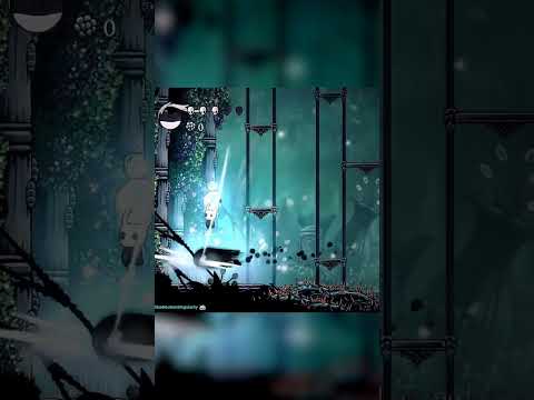 Абуз тени в Hollow Knight